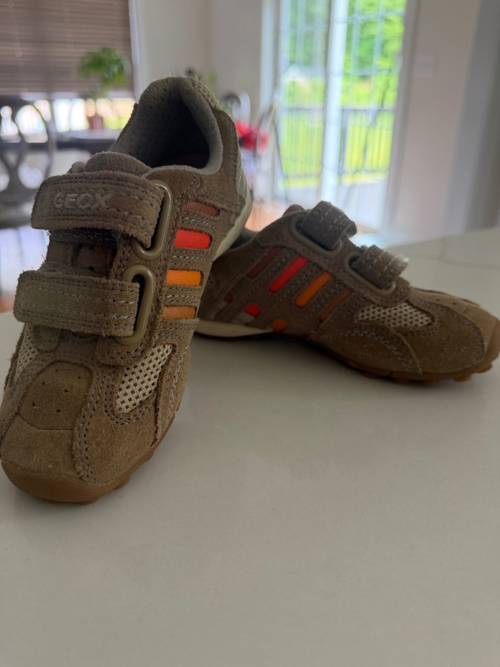 Geox “snake boy” suede sneaker